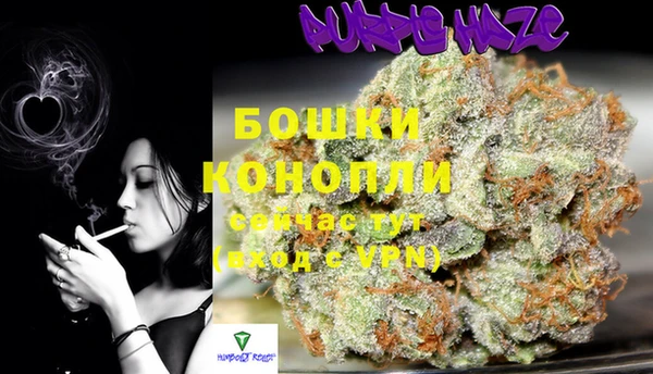 стаф Куйбышев