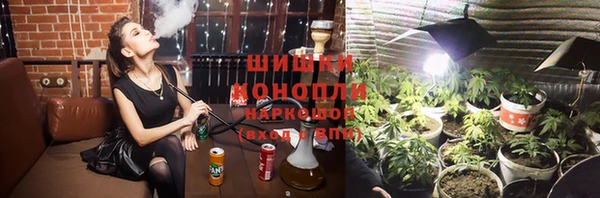 ECSTASY Кукмор